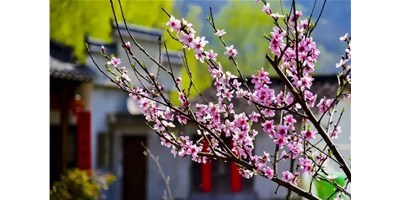 阳春三月，尊龙凯时人生就是博一大波展会即将来袭，您准备好了吗？